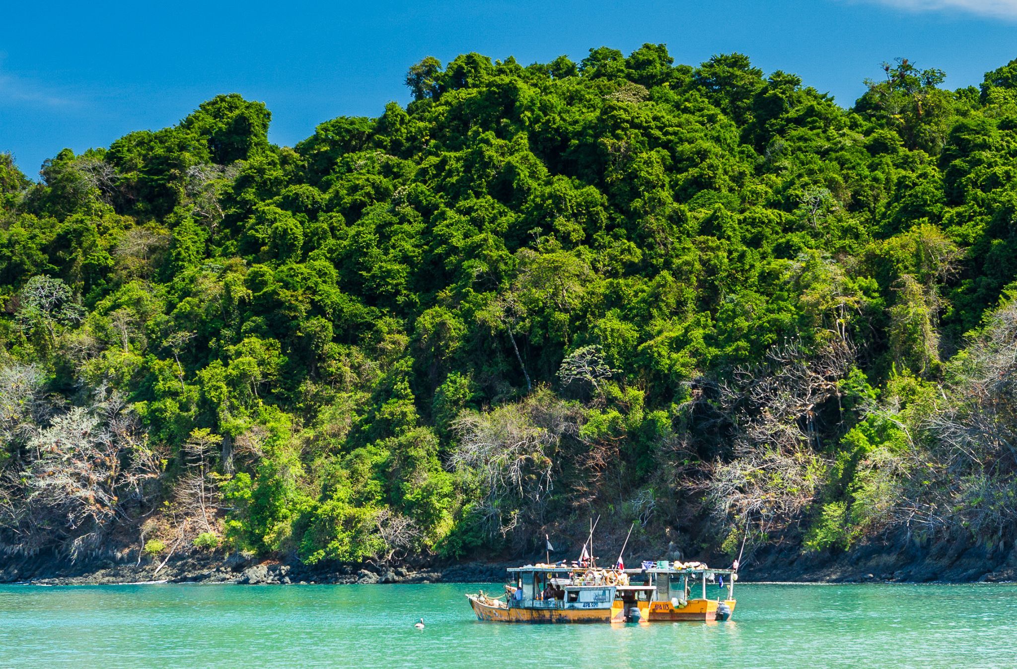 Coiba Island, Panama
