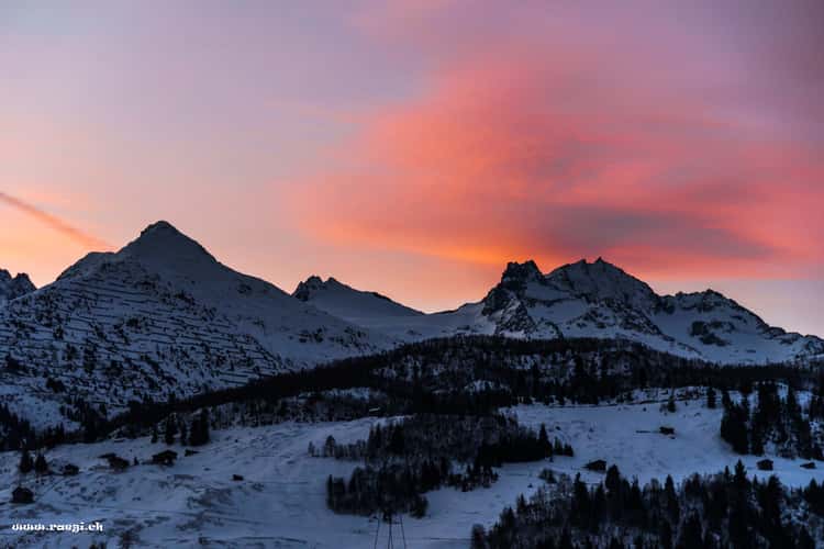 Disentis