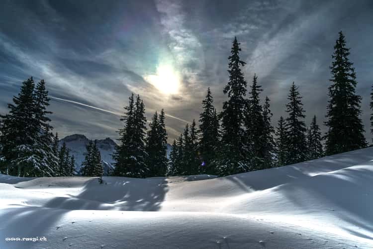 Disentis