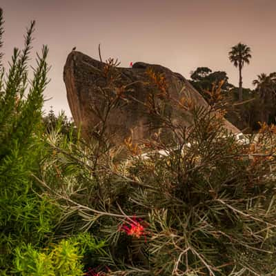 Dog Rock and Bird, Albany, Western Australia, Australia