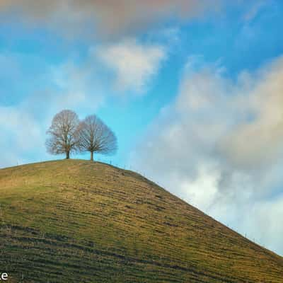 Drumlin, Switzerland