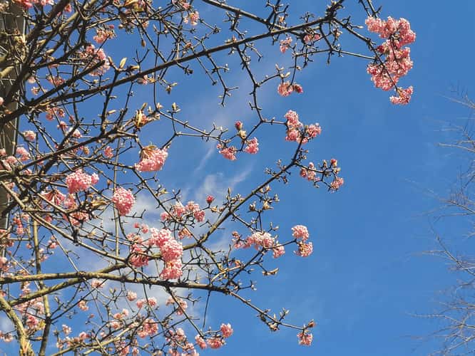 Early spring in Basel