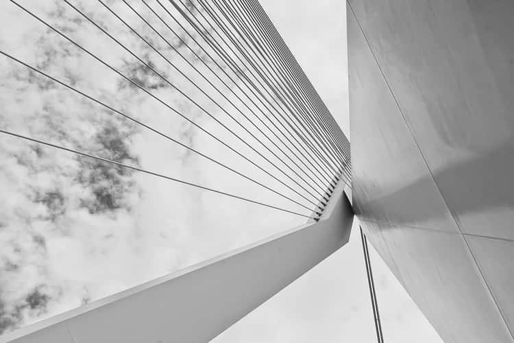 Erasmus Bridge / Erasmusbrug