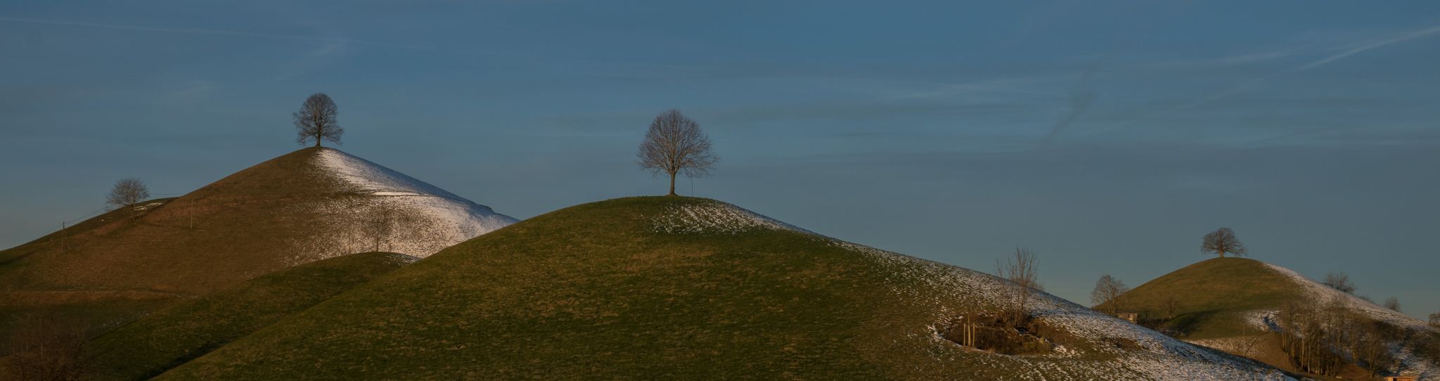Fairy tale trees, Neuheim, Switzerland