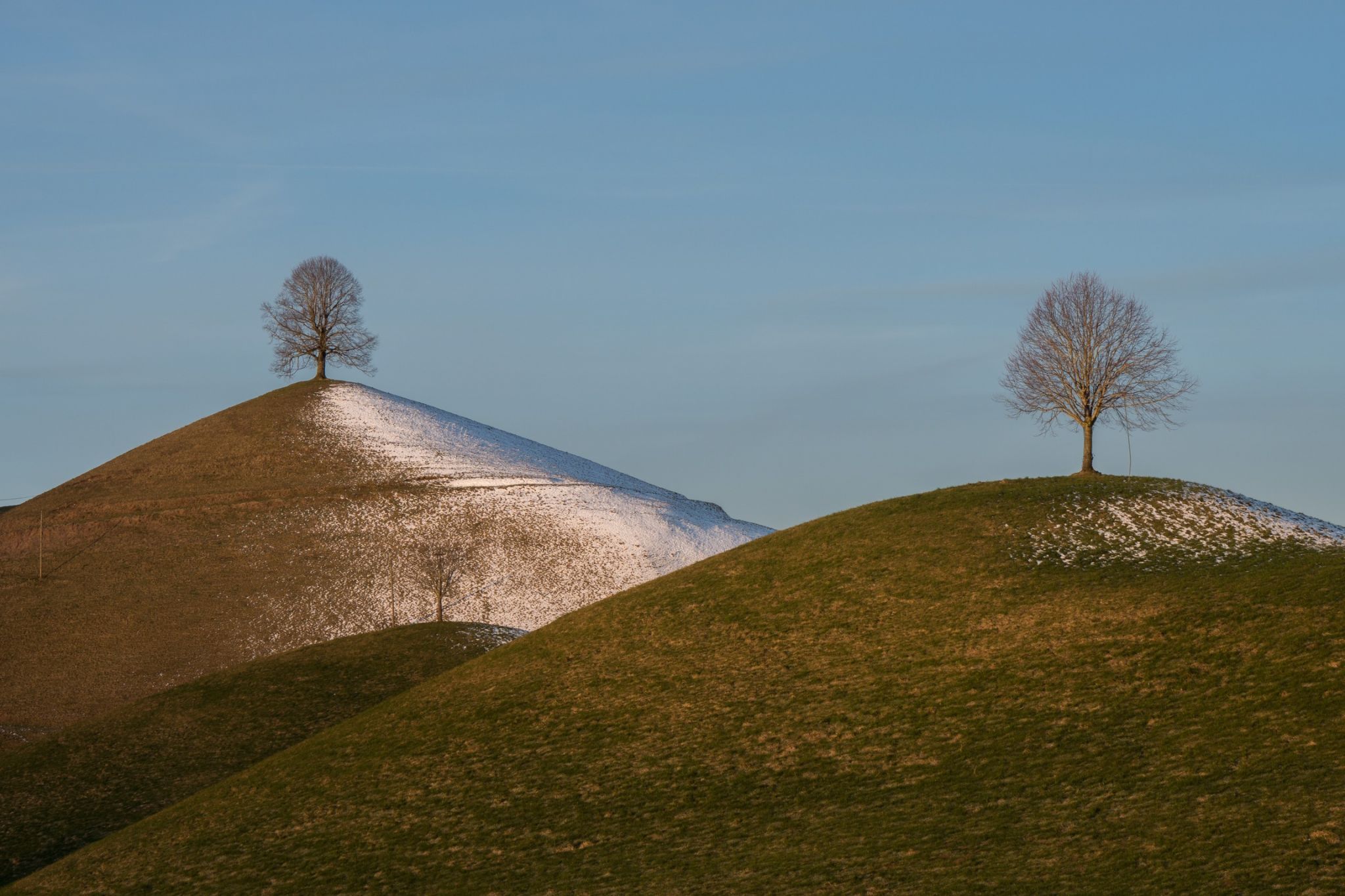 Fairy tale trees, Neuheim, Switzerland