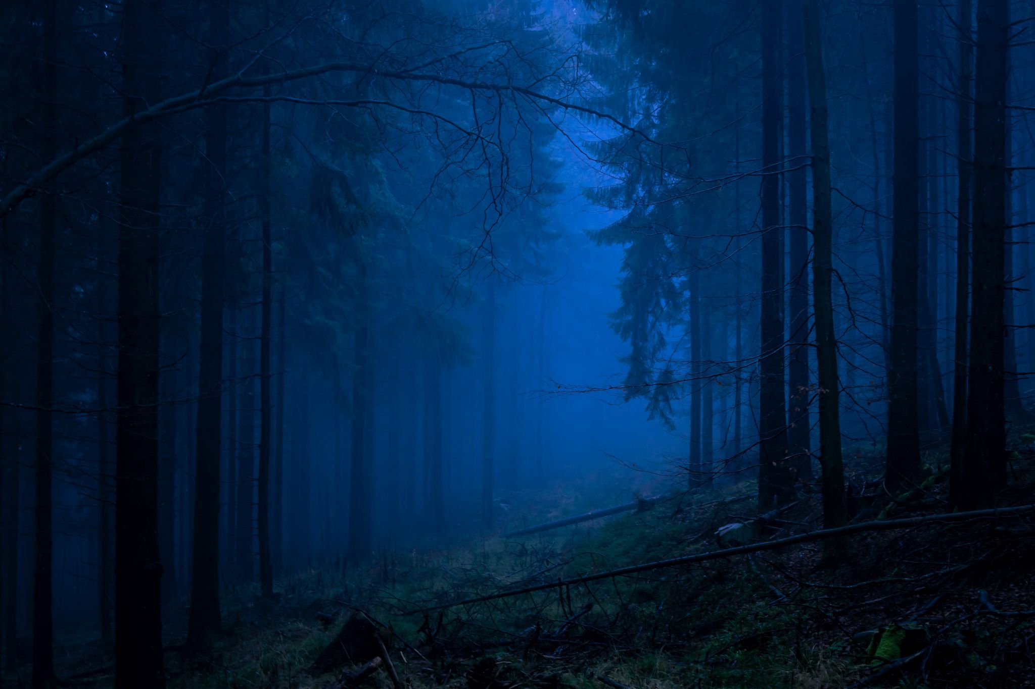 Forest under Tefuelsmühle, Germany