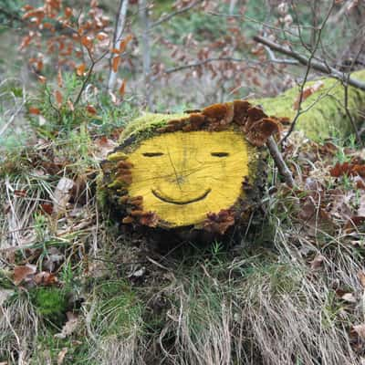 Friendly face in the forest, Eisenach, Germany