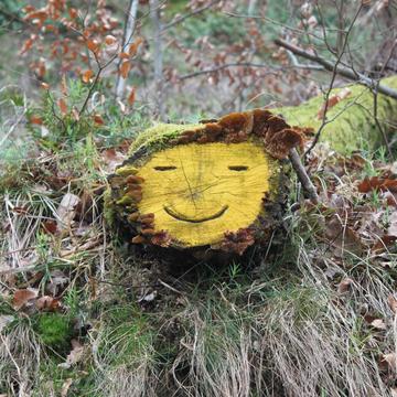 Friendly face in the forest, Eisenach, Germany
