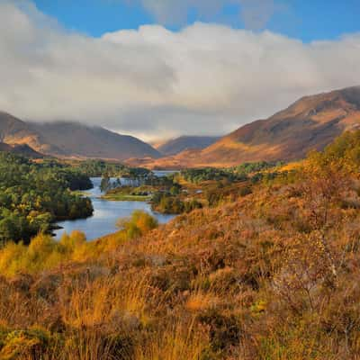 Glen Afric, United Kingdom