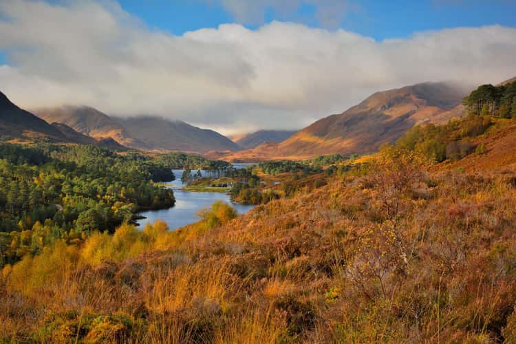Glen Afric