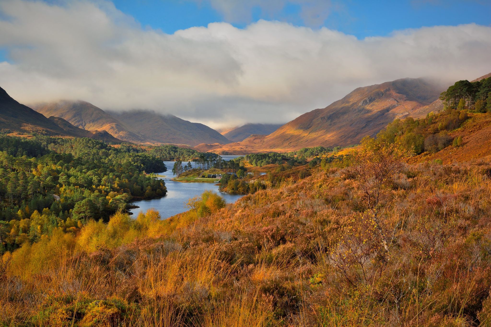 Glen Afric, United Kingdom