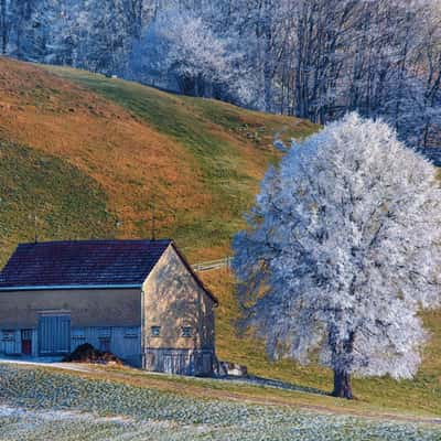 Herisauerstrasse, Switzerland