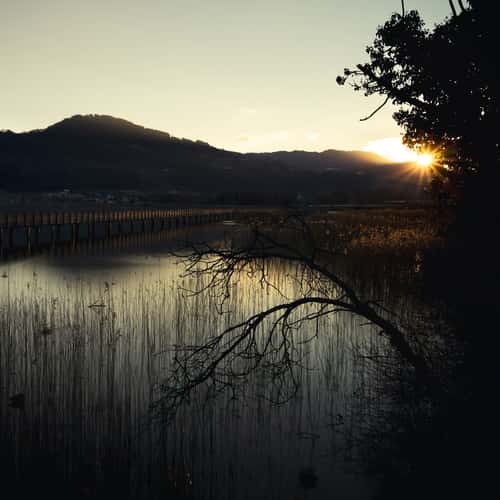 Wooden Bridge Rapperswil-Hurden