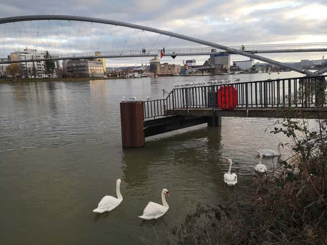 Huningue and Three Countries Bridge