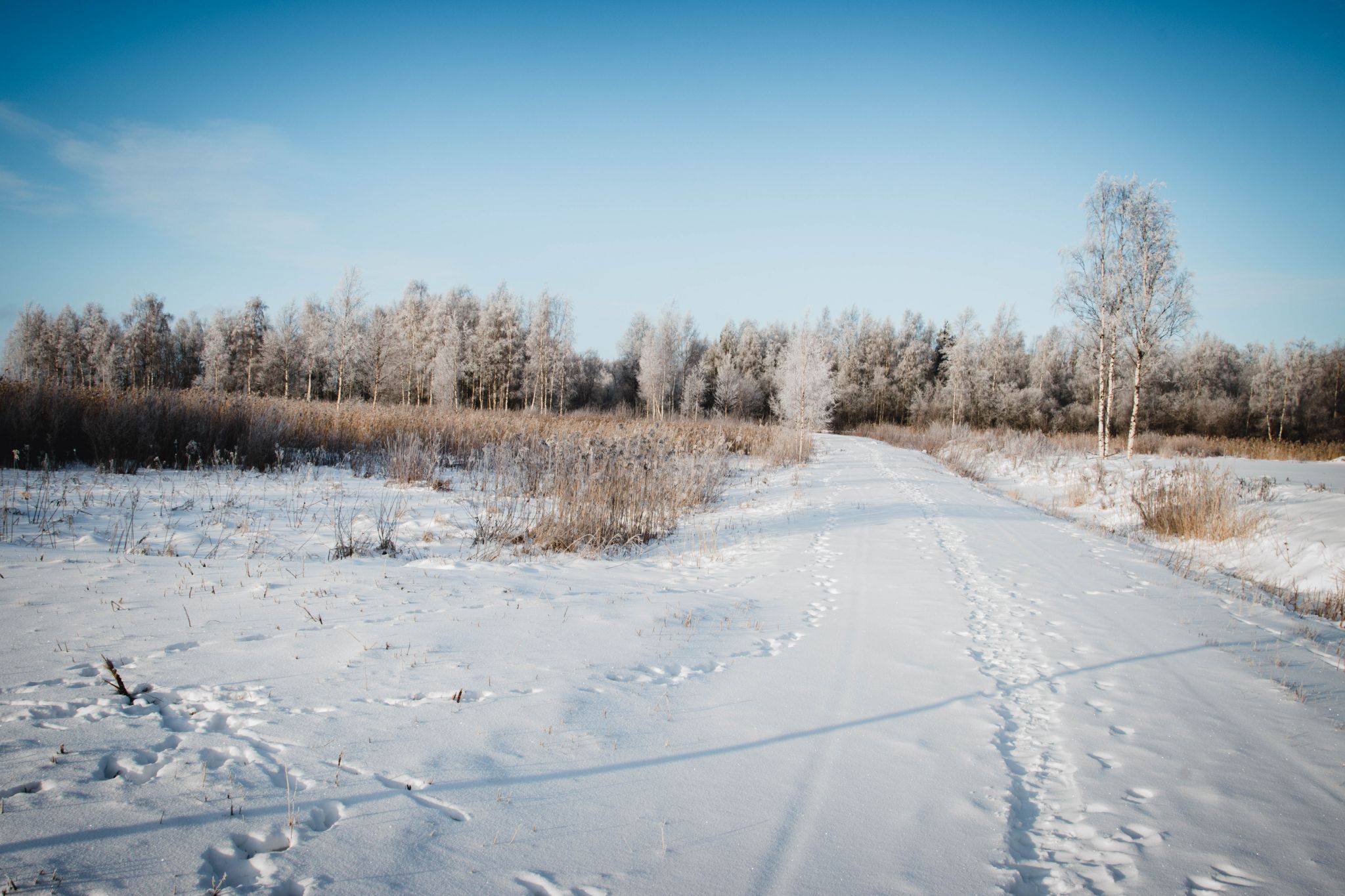 Kleemola, Finland