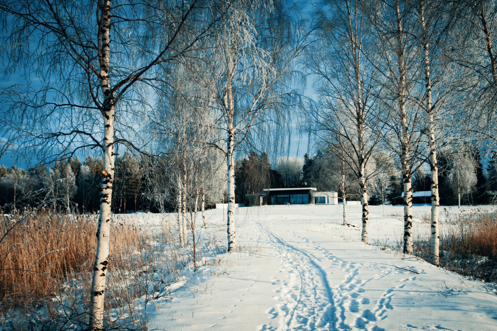 Kleemola, Finland
