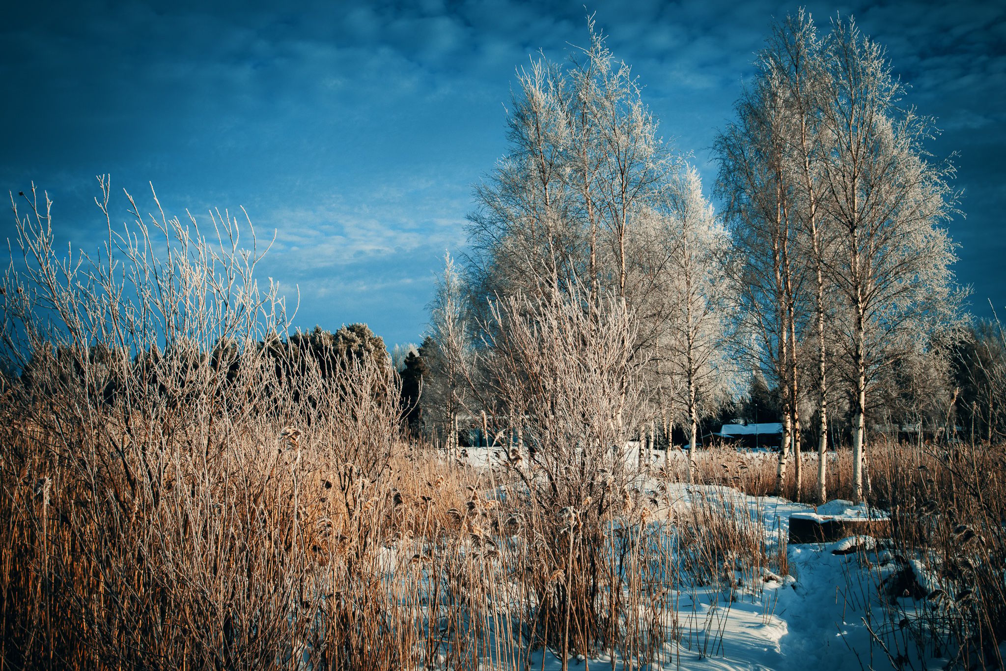 Kleemola, Finland