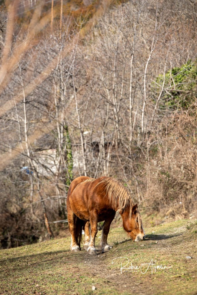 Les Bons, Andorra
