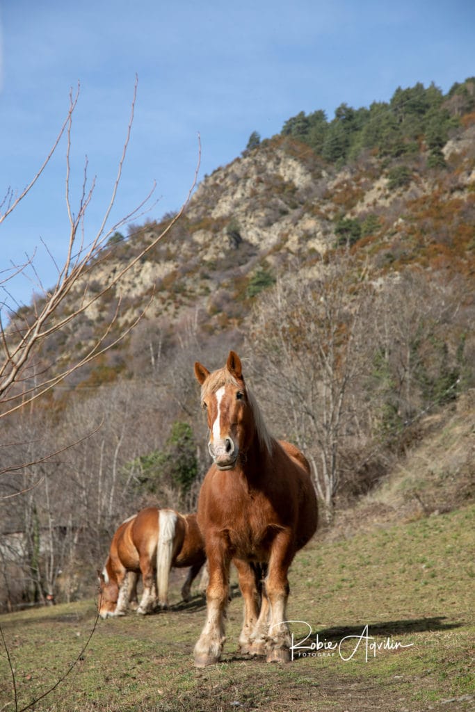 Les Bons, Andorra