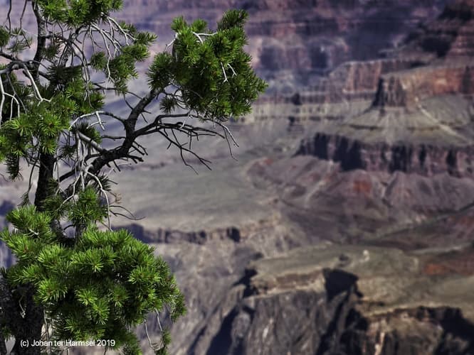 Mather Point