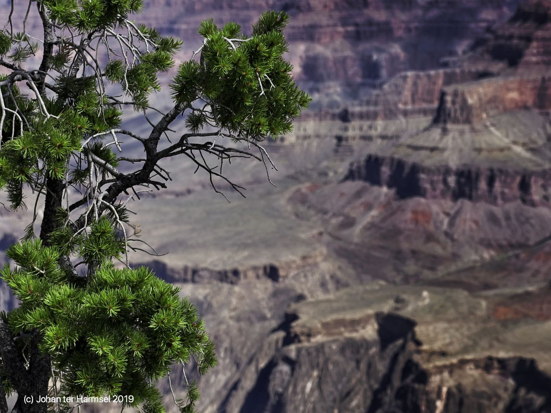 Mather Point, USA