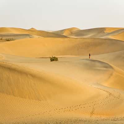 Morning in the Taklamakan Desert, China