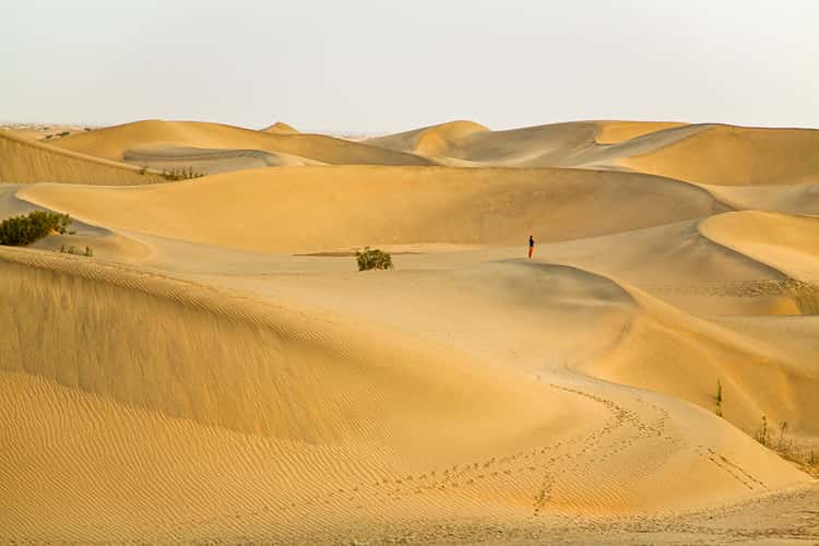 Morning in the Taklamakan Desert