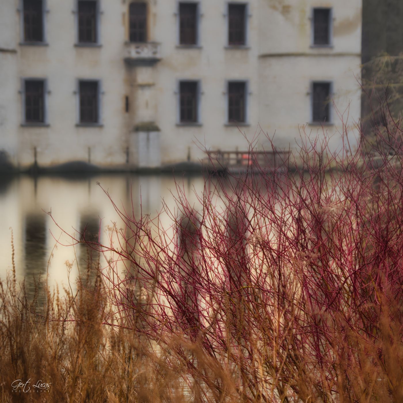 Nationale plantentuin, Belgium