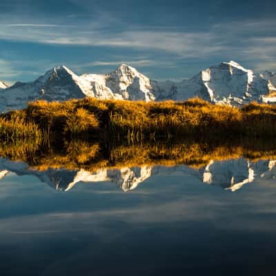 Niederhorn, Switzerland