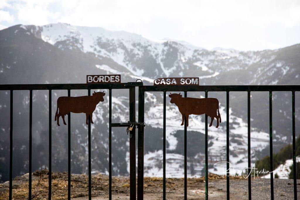 On the serpentine roads, Andorra