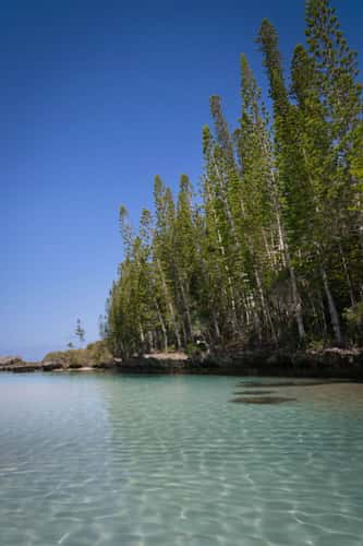 Oro natural pool