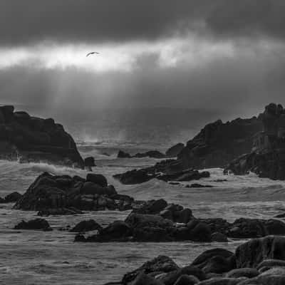 Pacific Grove Waterfront, USA