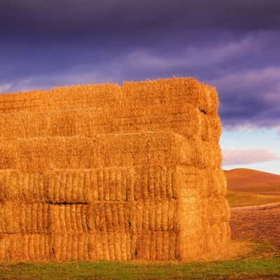 Palouse Shack, USA