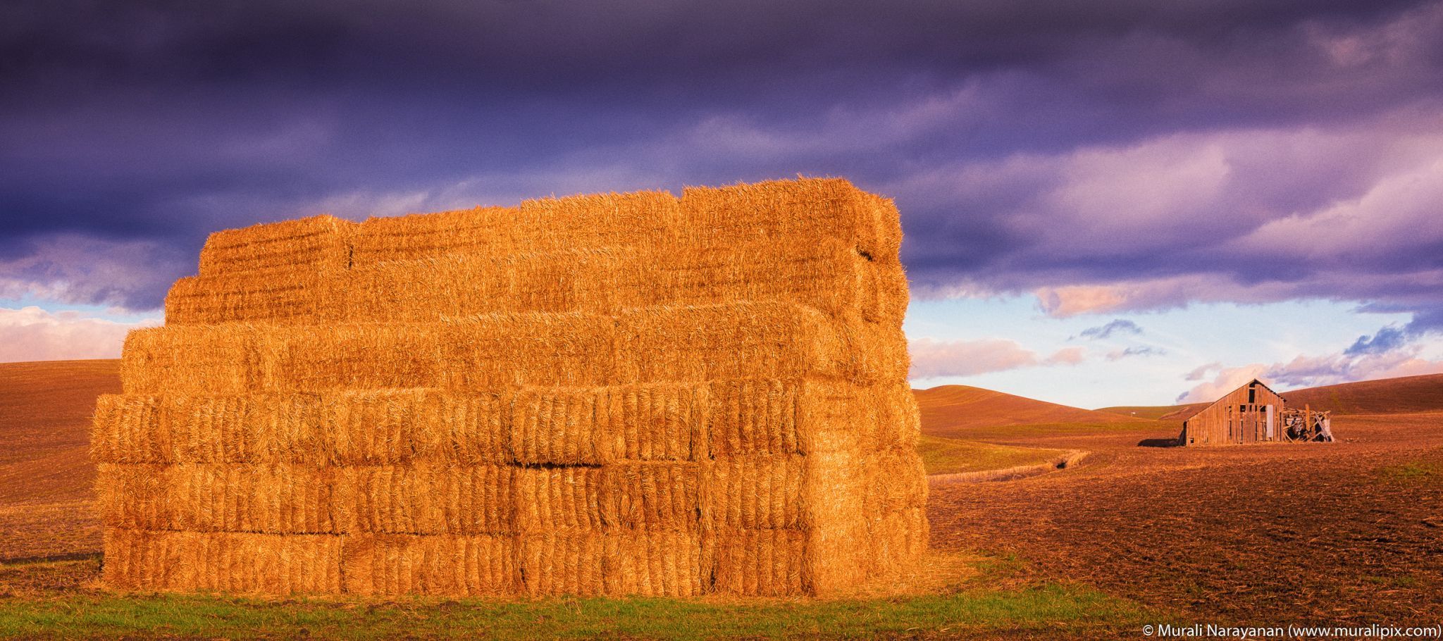 Palouse Shack, USA