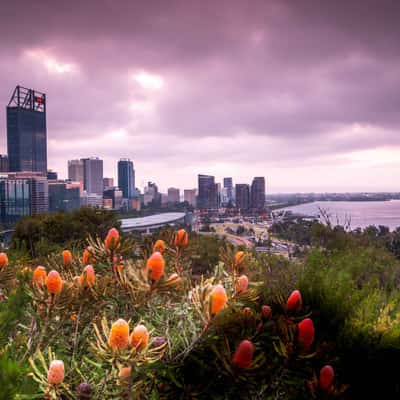 Perth City from Kings Park, Western Australia, Australia