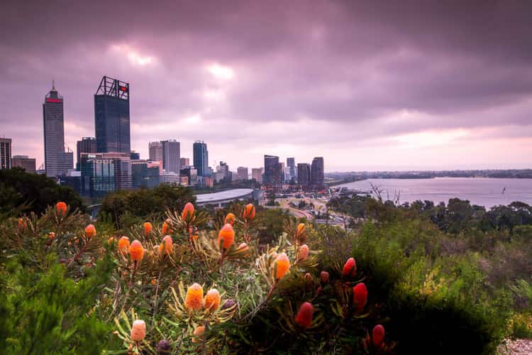 Perth City from Kings Park, Western Australia