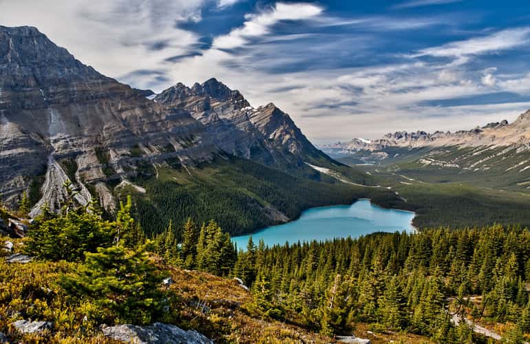 Peyto lake from the Bow Summit Trail