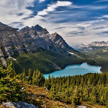 Peyto lake from the Bow Summit Trail, Canada