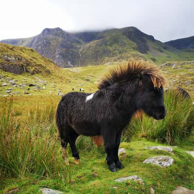 Pont pen-y-benglog, United Kingdom