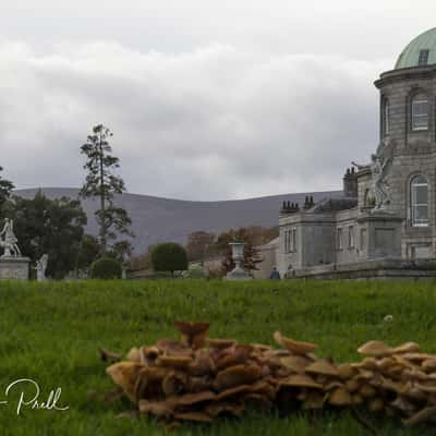 Powerscourt House & Gardens, Wicklow, Ireland