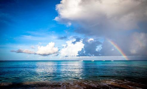 Rainbow Lone Star Porters Barbados