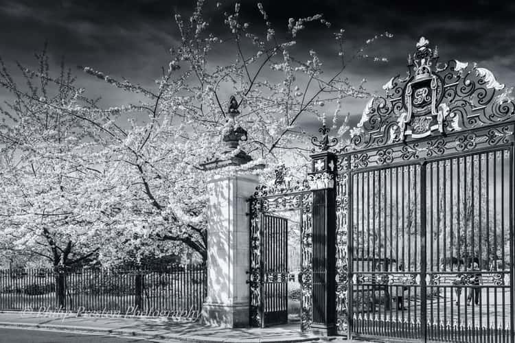 Regents Park, London