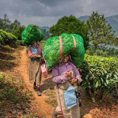 Road to Chithirapuram, India