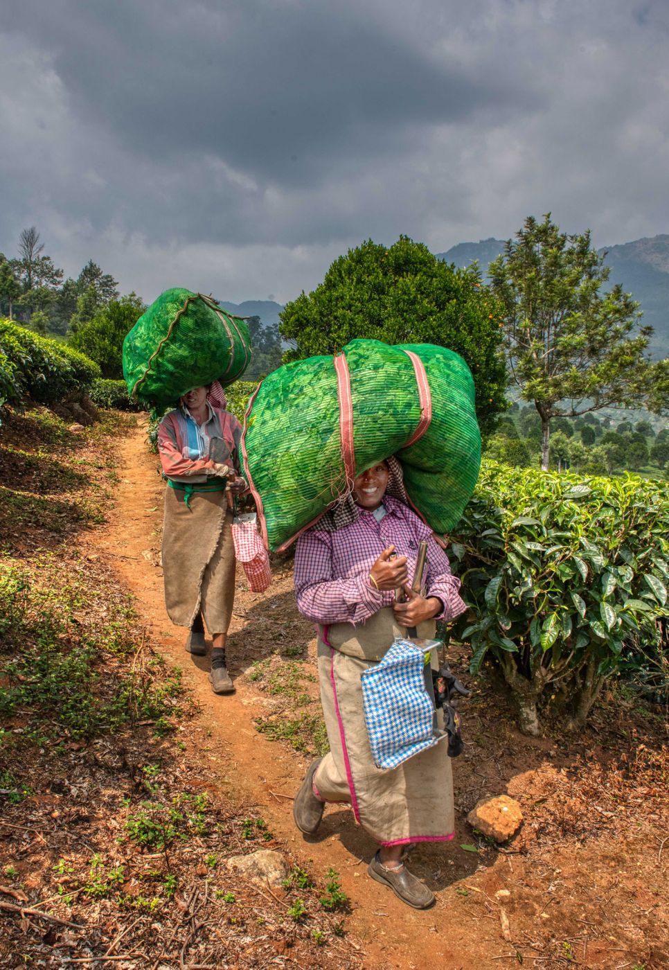 Road to Chithirapuram, India