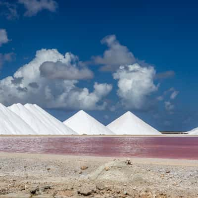 Salt Pier and Piles, Bonaire