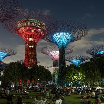 Singapore Supertree Grove - Gardens by the bay, Singapore