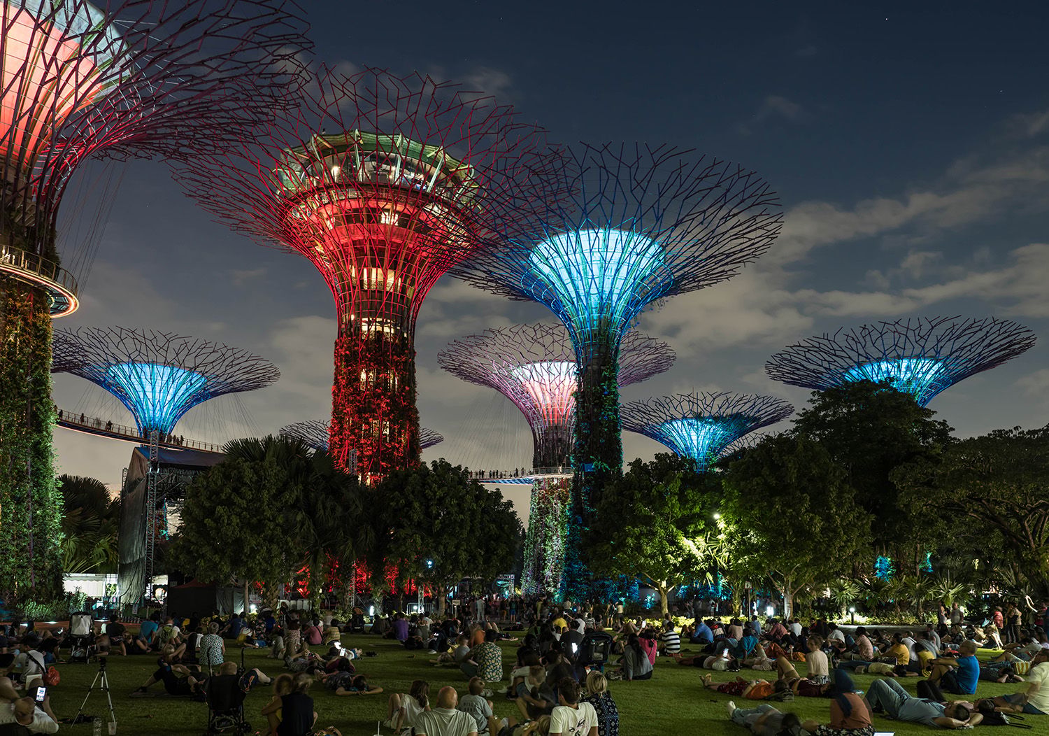 Supertree Grove - Gardens by the bay, Singapore, Singapore