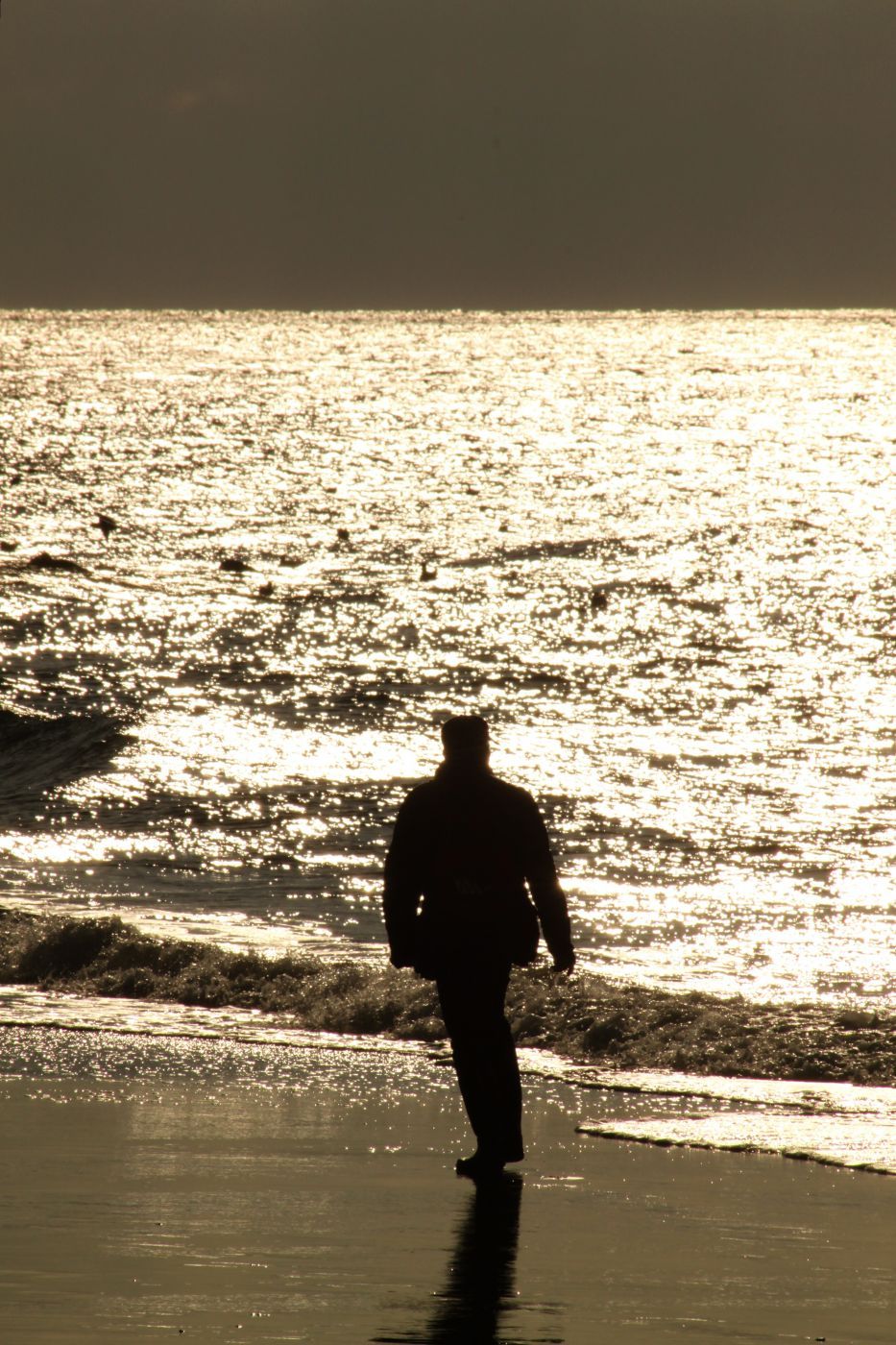 Spaziergang am Strand, Netherlands