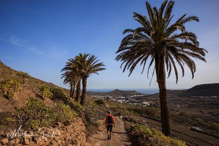 Tal der 1000 Palmen auf Lanzarote