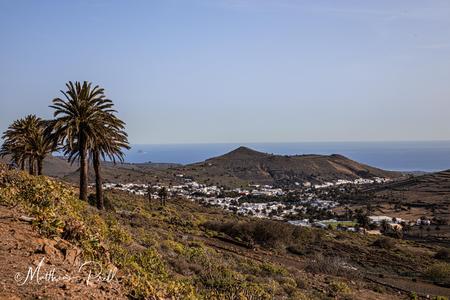 Tal der 1000 Palmen auf Lanzarote